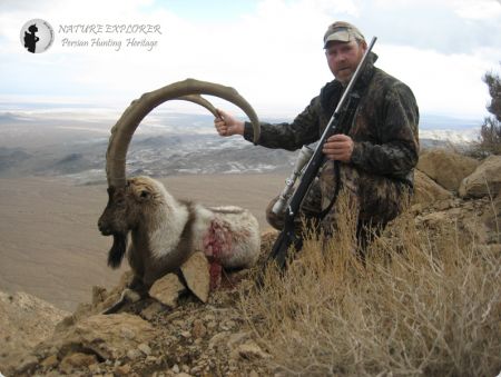 Iran hunting safari, sheep hunting, nature explorer
